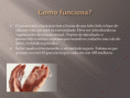 /album/galeria-de-fotos-saude-infantil/diapositivo9-gif/
